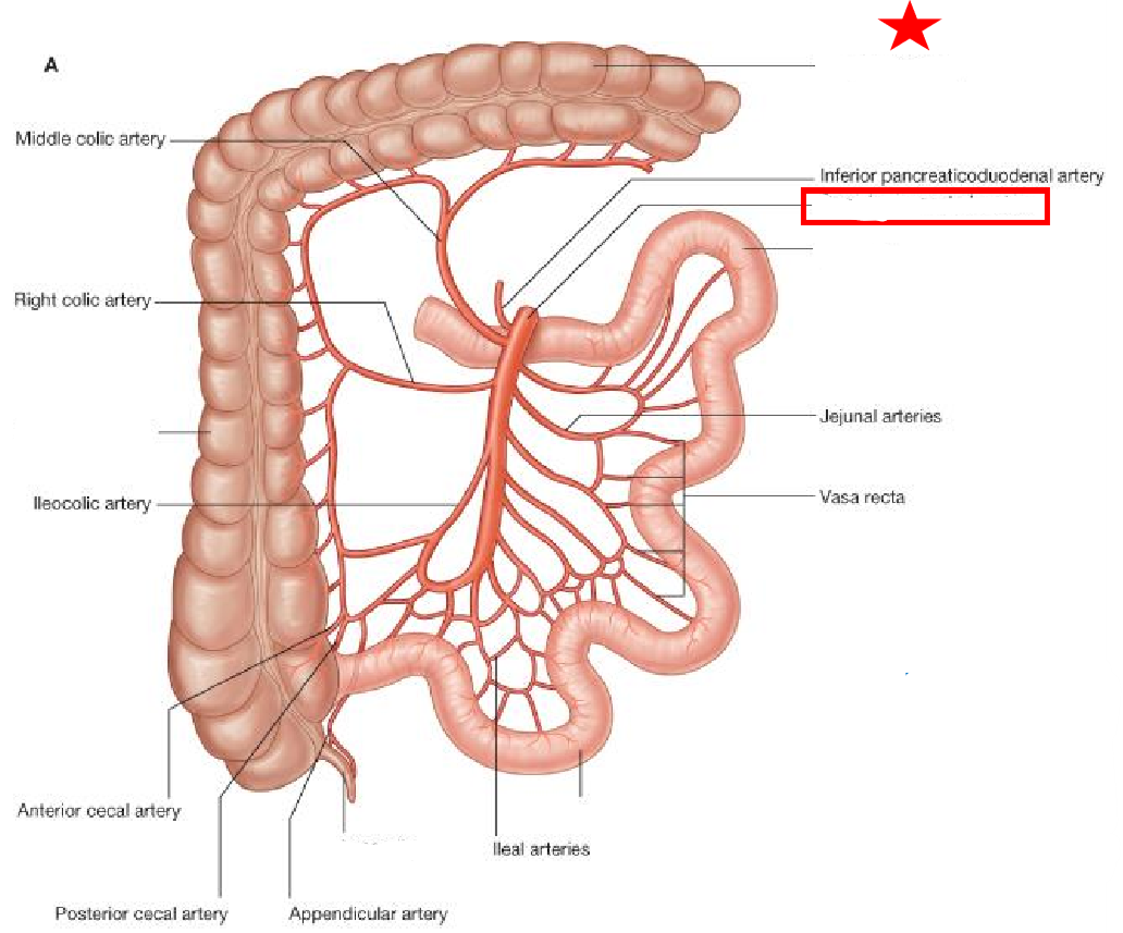 <p>Label the following diagram</p>