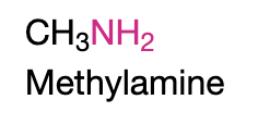 <p><strong>Amine</strong></p><p>Name Ending: -amine</p>