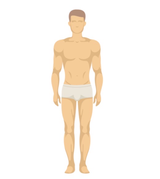 <p>Abdominal </p>