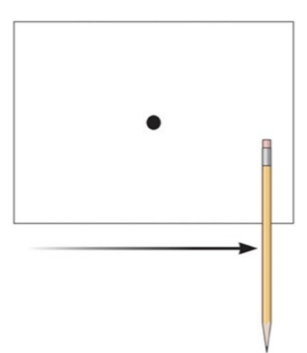<p>focus on pencil as it moves -> dot seems to move while pencil seems stable. Happens because dot changes position in retina and pencil stays projected on fovea.</p>