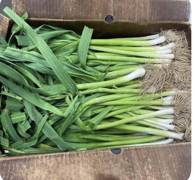 <p>Chinese leek</p>