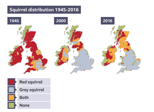 <ul><li><p>If one species is better adapted to the environment — it will outcompete</p><ul><li><p>Until numbers of lesser adapted species are insufficient for breeding</p></li></ul></li></ul><p></p>