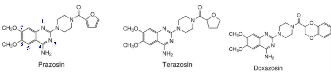 <p>Rank the drug from shortest to longest half-life. </p>