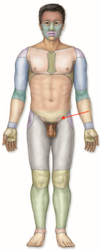 <p>what is this section called?</p>