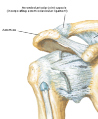 <p>The Acromioclavicular joint is what kind of synovial joint?</p>