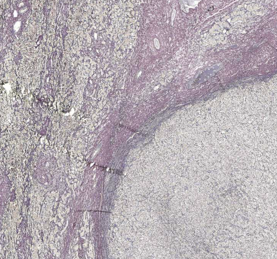 <img src="https://assets.knowt.com/user-attachments/ef6d2a25-58fb-4103-bf60-812704c16482.png" data-width="100%" data-align="center" alt="knowt flashcard image"><p></p>