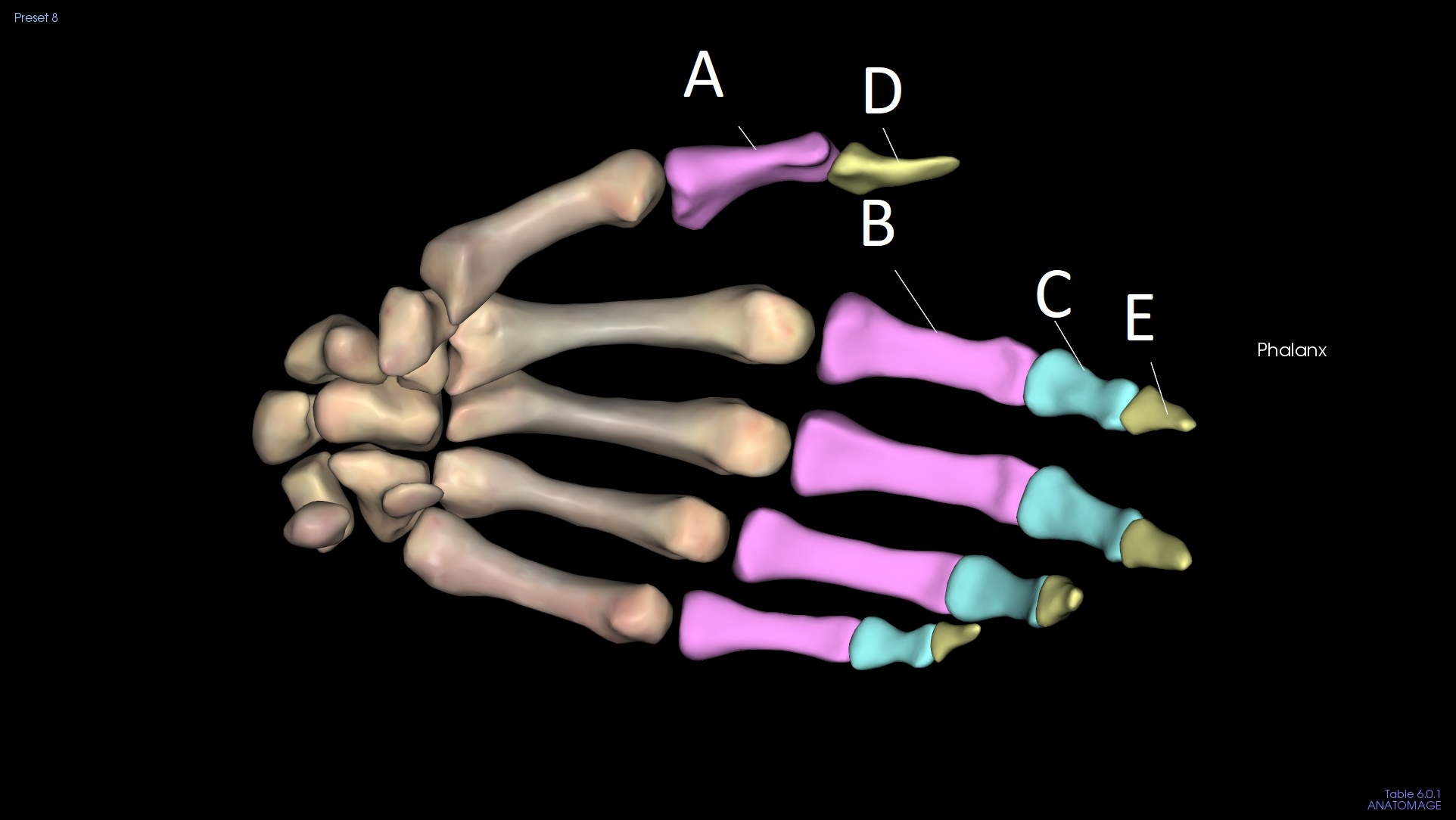 <p>D</p>