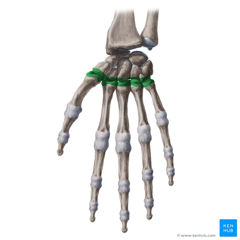 <p>What is this joint?</p>