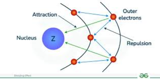 <p><span>The shielding effect (or screening effect) is </span><strong><mark data-color="rgba(0, 0, 0, 0)" style="background-color: rgba(0, 0, 0, 0); color: inherit;">the phenomenon where inner-shell electrons reduce the attraction of the nucleus on valence (outer-shell) electrons, due to inner electrons repelling outer ones</mark></strong><span>. This reduces the effective nuclear charge felt by valence electrons, making them easier to remove and increasing atomic radius</span></p>
