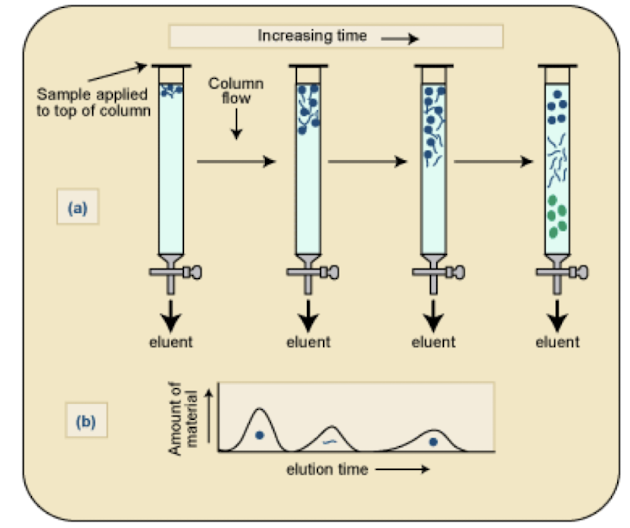 <p><strong>Reverse-phase</strong> involves <strong>non-polar stationary phase and polar mobile phase. </strong></p><p><strong>Normal phase</strong> uses a<strong> polar stationary phase and non-polar mobile phase. </strong></p><p><strong><mark data-color="yellow" style="background-color: yellow; color: inherit;">This affects the separation mechanism in chromatography</mark></strong> i.e. Same principle as with protein purification, Ion-exchange, size-exclusion, adsorption, normal/reverse-phase </p><p></p>