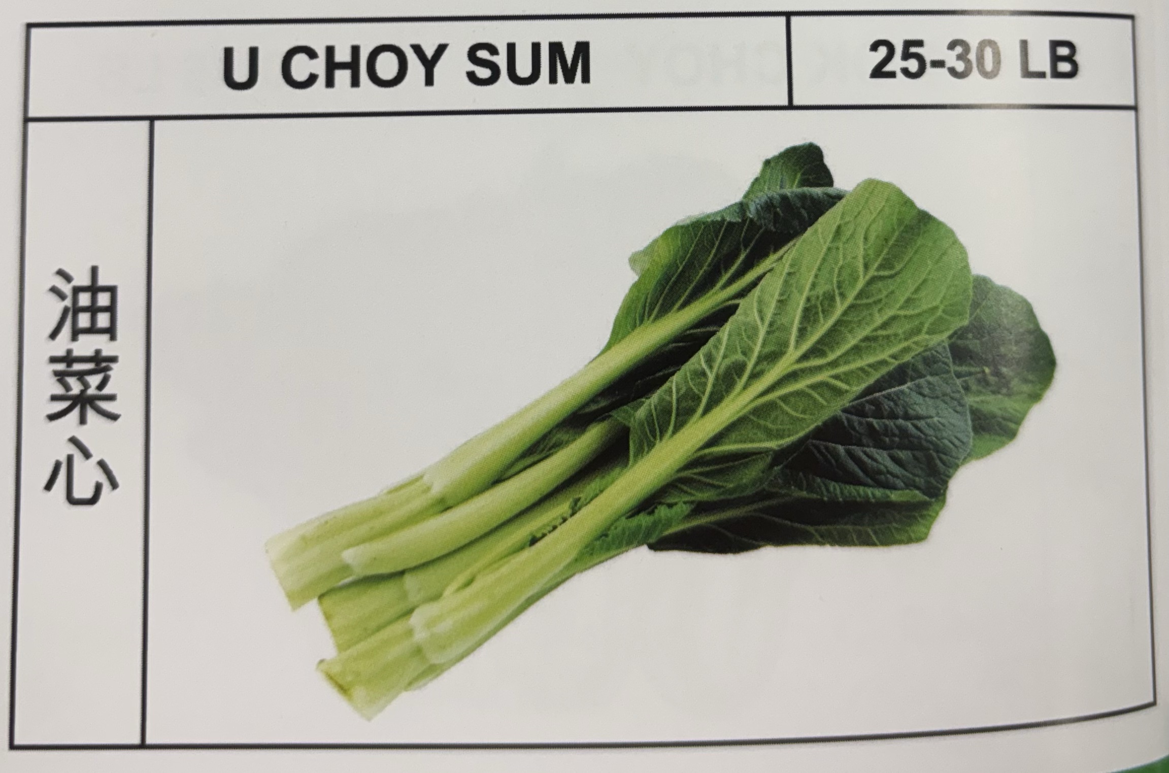 <p>U CHOY SUM</p>