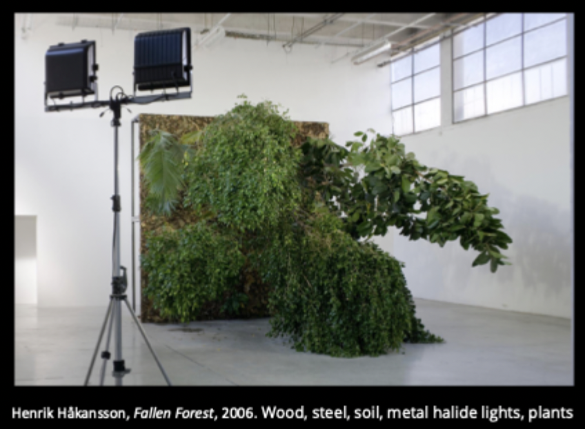 Henrik Hakanson, Fallen Forest, 2006.