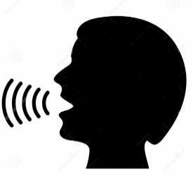 <p><span style="color: rgb(250, 162, 95);"><strong>Говорить</strong></span></p>