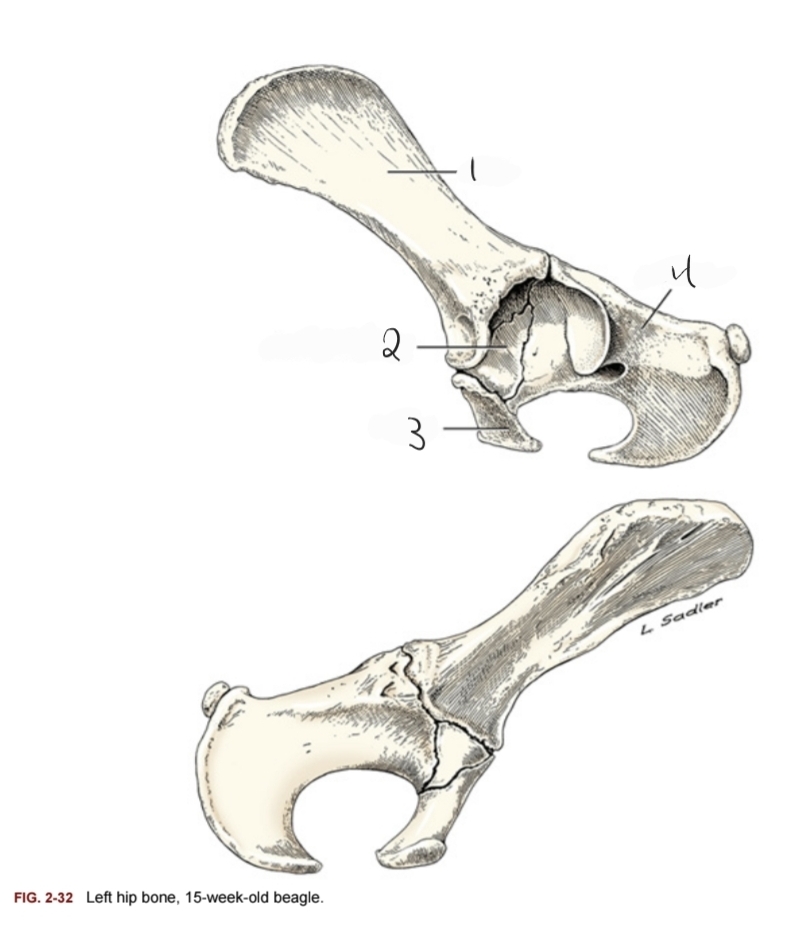 <p>1</p>