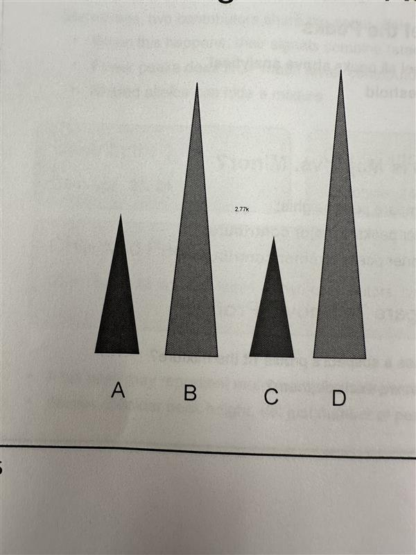 <p>Major contributor (B+D)</p><p>Minor contributor (A+C)</p><p>Ratio = (B+D) / (A+C) = 2.3 : 1</p><p>Round to approximately 2:1 - The major contributor contributes roughly <strong>twice</strong> the DNA of the minor contributor</p>