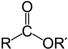 <p>AldeHyde</p><p>Carbonyl (C=O)</p><p>Attached to one Oxygen (O) and one C</p>