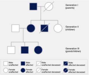 <p>diagrammatic family tree (using squares for males, circles for females) that traces the inheritance of specific traits, diseases, or genotypes across multiple generations.</p>