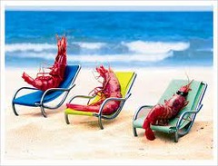 <p>get a sun tan</p>