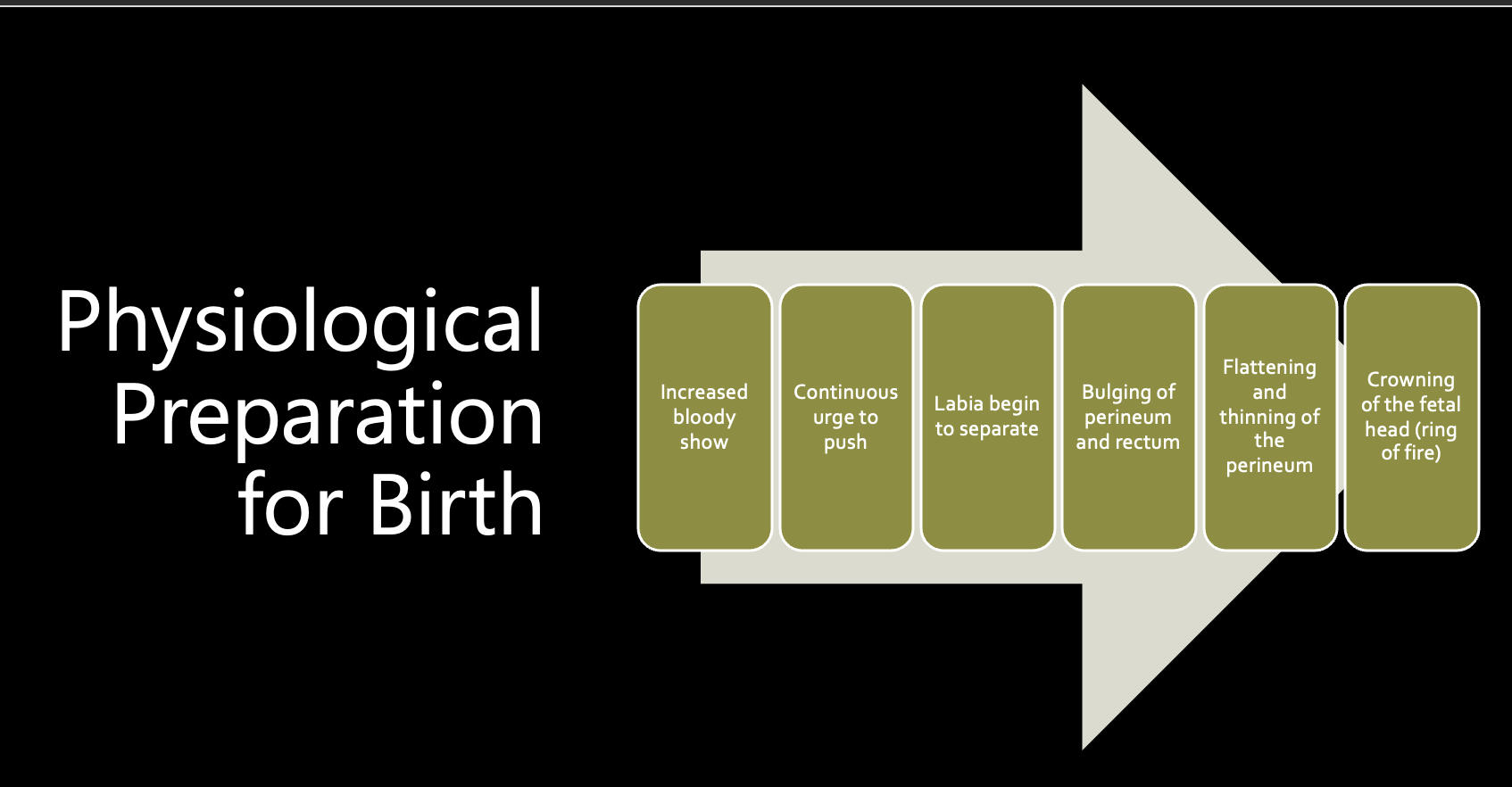 <p>Physiological Preparation for Birth</p>