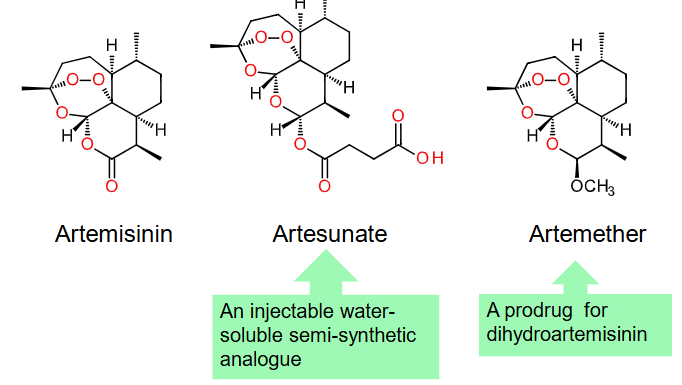 <p>Chinese herb to treat malaria</p>