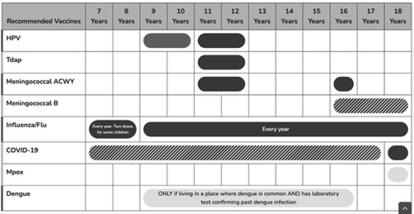 <p>Tdap, Meningococcal ACWY, Meningococcal B, and COVID-19.</p>