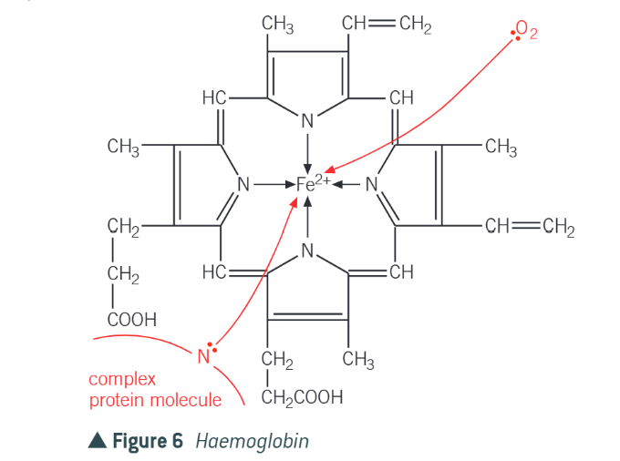 <p>iron (II) complex w multidentate ligand </p>