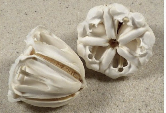 <p>what is this, purpose</p>