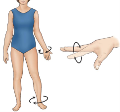 <p>move part round in form of circle, only possible w joints that can move in multiple ways (fingers, wrist, arm, leg)</p>