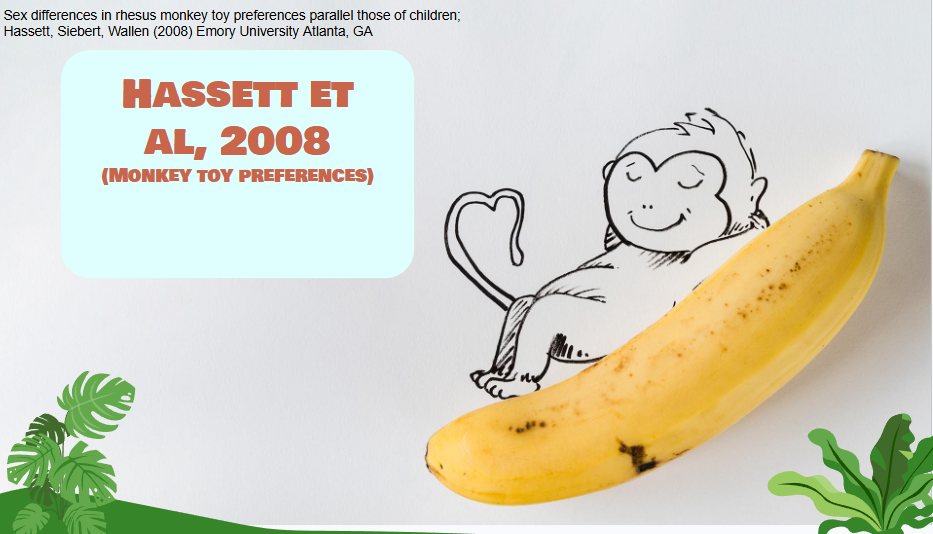 <p><strong>Biological Approach<br></strong><em><u>-Hasset-</u></em><br><br>What is it about?</p>