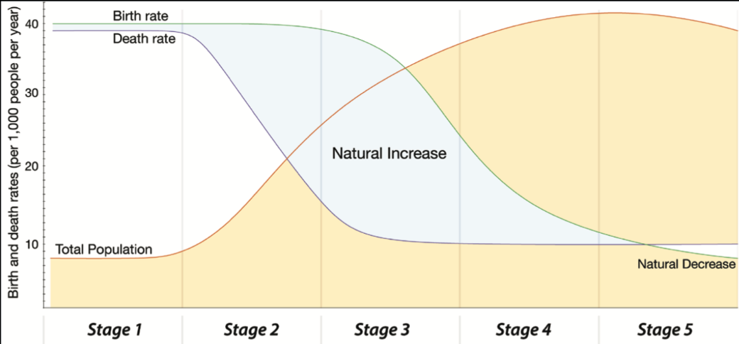 <p>Shows how a population transitions from a pre-industrial stage with high birth and death rates to an economically advanced stage with low or declining birth and death rates.</p>