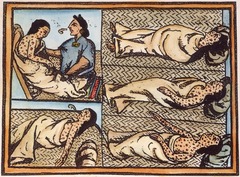 <p>one thing exchanged between the Europeans and Native Americans; the Europeans contracted syphilis, while the Native Americans contracted smallpox and measles, which was detrimental to native populations</p>