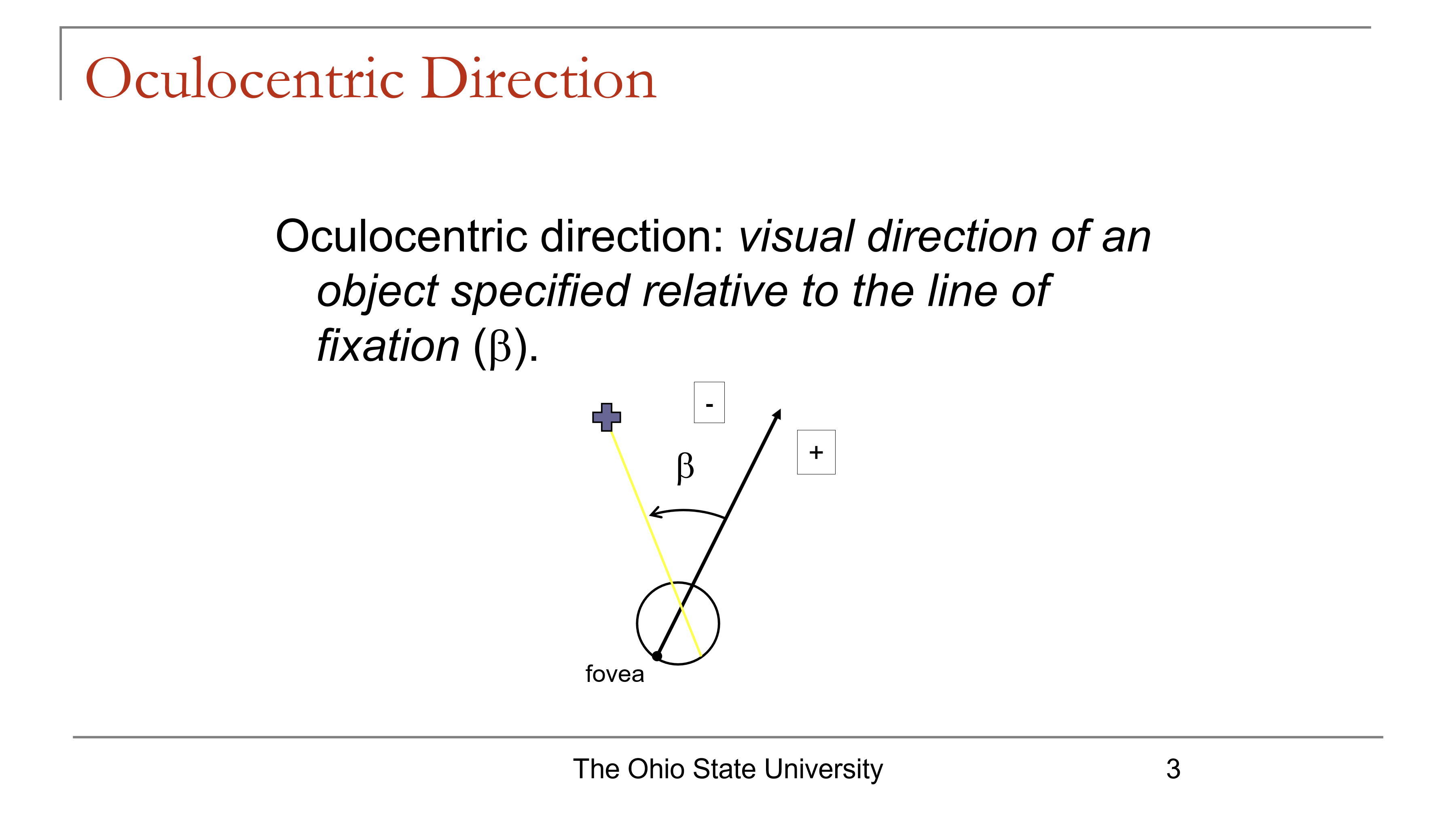 <ul><li><p>Oculocentric direction (β): direction of an object relative to the line of fixation</p><ul><li><p>“Object relative to where the eye is looking”</p></li></ul></li><li><p>Egocentric direction (χ): direction of an object relative to straight ahead</p><ul><li><p>“Object relative to the observer’s straight-ahead position”</p></li></ul></li></ul><p></p>