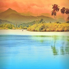 <p>Something that looks very pretty and nice to see is _____.</p>