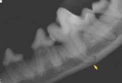 <p>What is this? Why does it commonly occur?</p>
