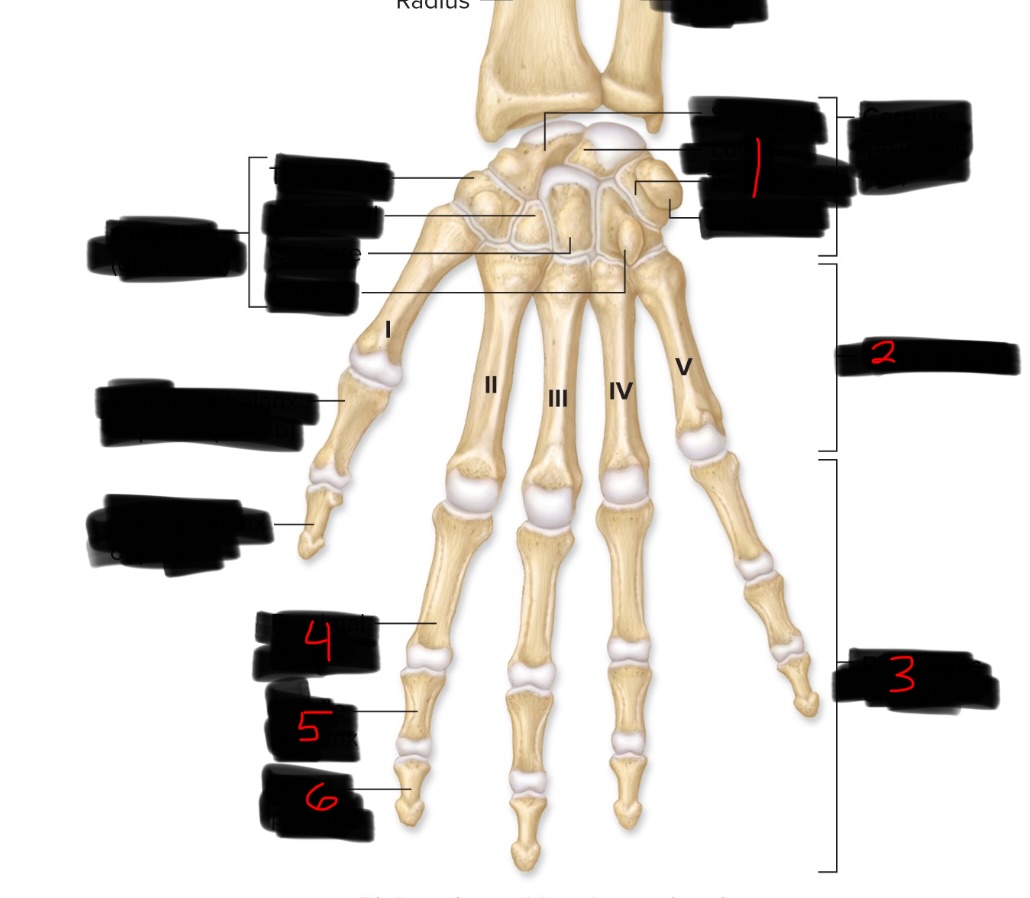 <p>1</p>