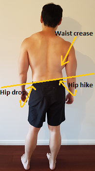 <p>i forntalplan</p><p>påverkan lumbalrygg: ipsilateral lateralflexion</p><p>höftled: adduktion (samma sida)</p><p>muskler: M. quadratus lumborum</p>