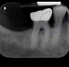 <p>What is this an example of?</p>