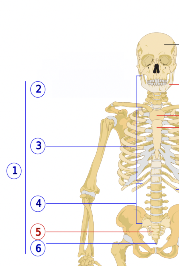 <p>3</p>