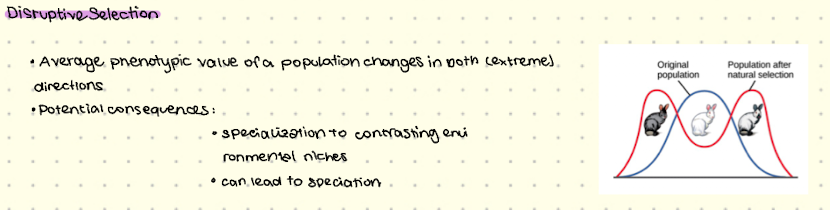 <p>Darwin Finches: Different species of darwin finches, specialising on seeds or insects, have evolved from original population. </p>