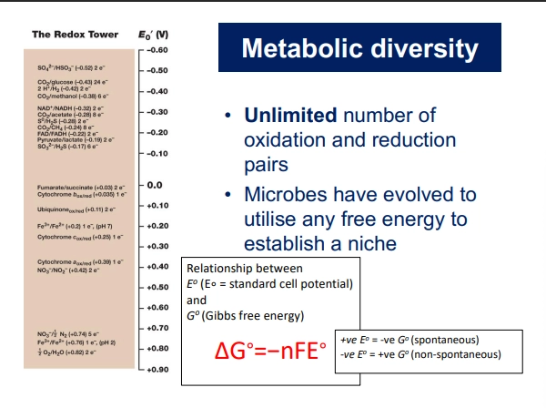<ul><li><p>some organisms may just do glycolysis &amp;| fermentation</p></li><li><p>others however, may use a different terminal e acceptor besides from O2 (eg Sulphate, Fe3+,) - to similarly carry out respiration</p></li><li><p>less energy efficient &amp; ATP produced (smaller difference in E0 values, smaller deltaE0) but still enables life to function in niches &amp; environments that are anaerboic (lack O2 as a terminal e acceptor)</p></li><li><p>as long as the terminal e acceptor has a lower E0 value than glucose (or whatever energy source is used), the rxn will be spontaneous (efficient for life) - due to its relation to deltaG (deltaG = -nFE0)</p></li><li><p>unlimited combinations of redox pairs, due to evolution in any free niches with free energy present </p></li></ul><p></p>