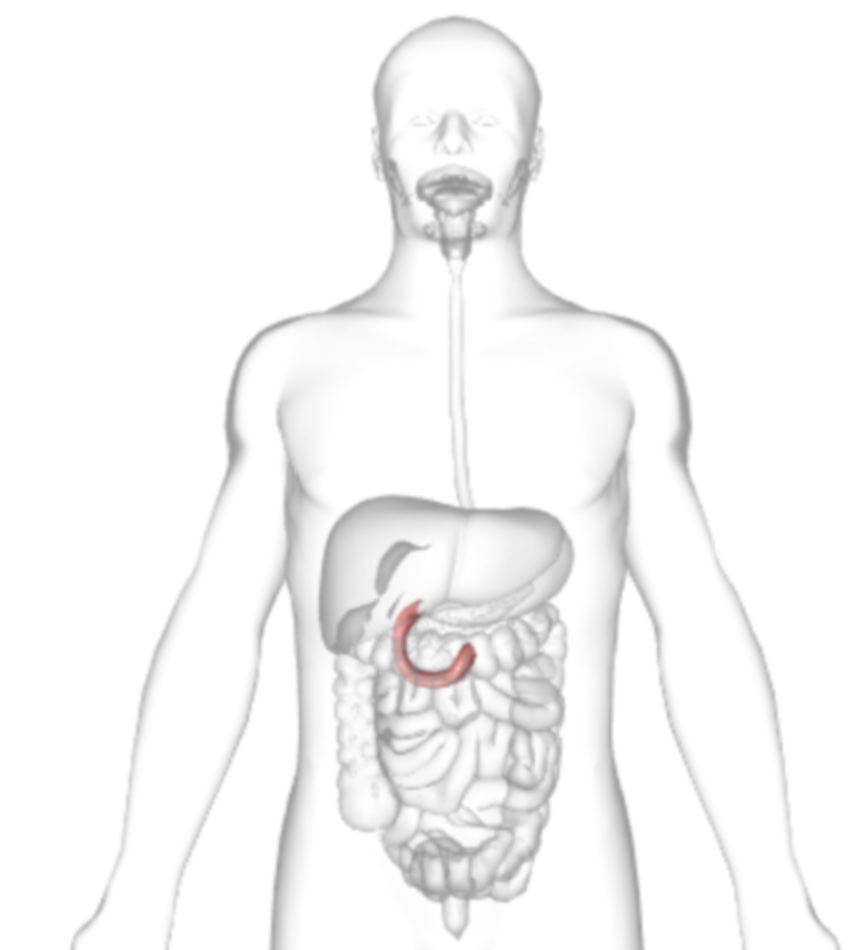 <p>what is highlighted</p>