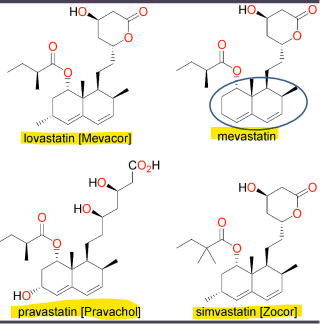 <p>What are natural statins and the decaline ring?</p>