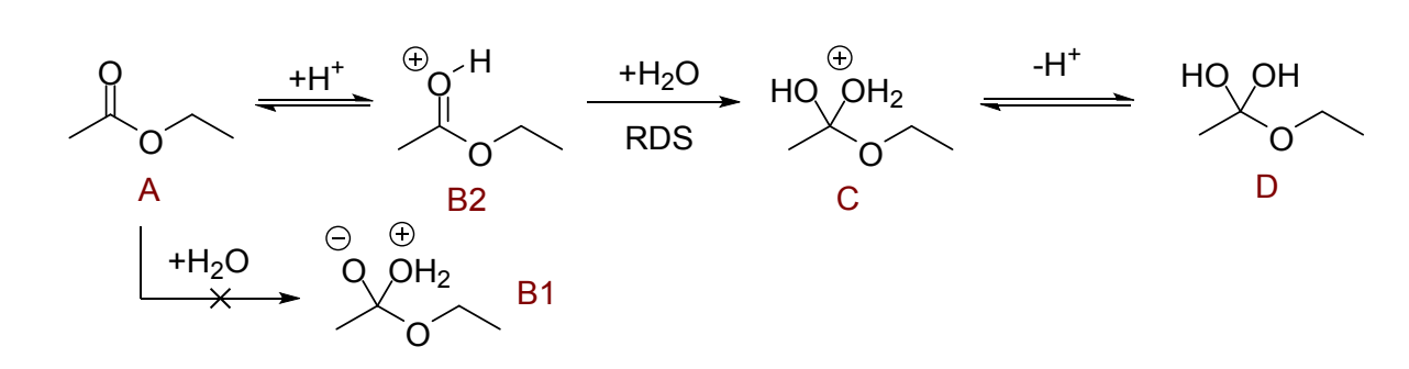 <p>why is first uncatalysed step unfavourable? </p><p>why is it better with catalysis?</p>