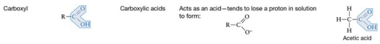 <ul><li><p>-COOH</p></li><li><p>component of amino acids (that form proteins)</p></li><li><p>acts as an acid</p></li><li><p>can form peptide bonds (bonds b/w amino acids)</p></li></ul><p></p>