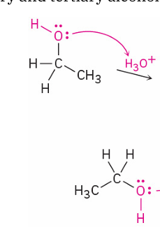 <p>ethanol → ether ( sulfuric acid catalyzed dehudration)</p><ul><li><p>mechanism</p></li></ul><ul><li><p>reagent</p></li></ul><p></p>