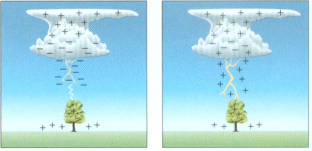 <p>acts to reduce the electrical gradient from the clouds (negative) to the ground (positive)</p>