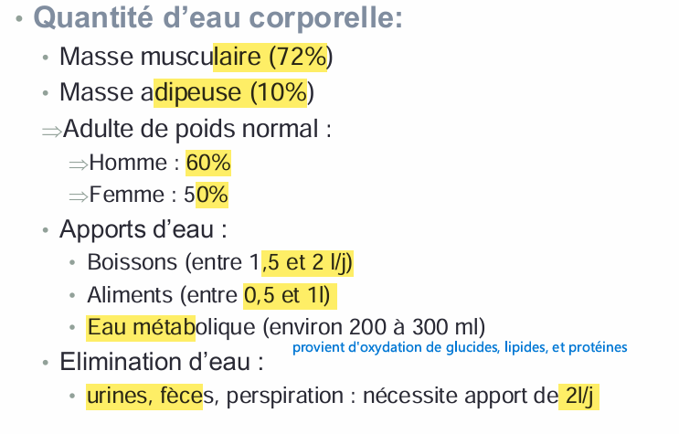 <p>+de 10j sans eau pas possible alors que 30-40-60 jours sans manger possible</p><p></p>