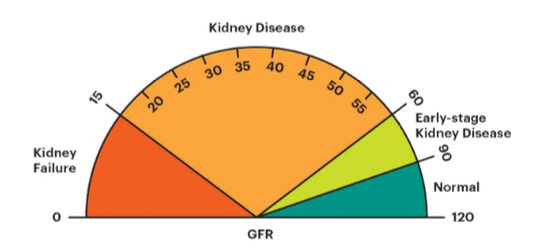 <p>Chronic kidney disease (CKD)</p>
