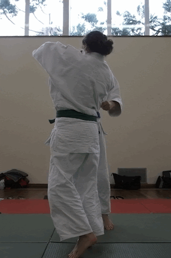 <p>Both hands shoulder throw </p>