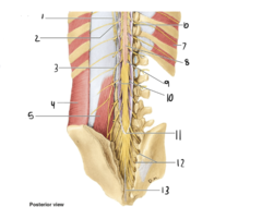 <p>11</p>